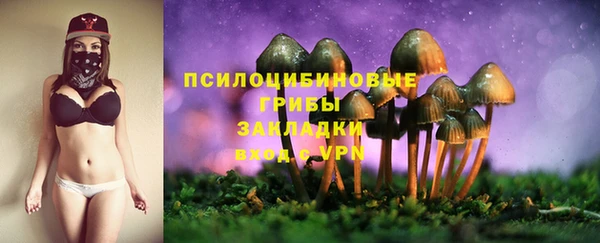 крисы Алексин