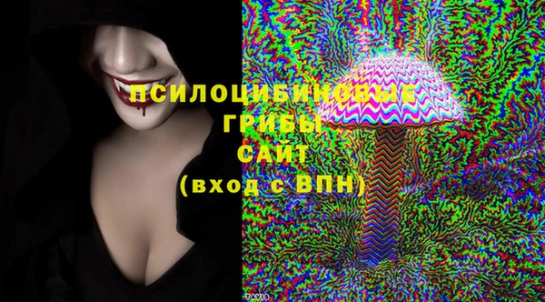 СК Алексеевка
