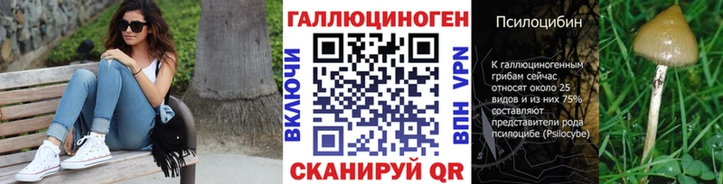 Галлюциногенные грибы Psilocybine cubensis магазин продажи блэк спрут зеркало Котлас