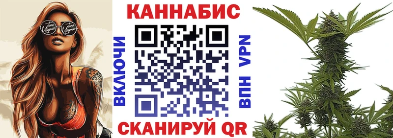 Бошки марихуана MAZAR  Котлас 